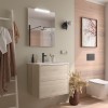 Conjunto Optimus 60 Mueble y Lavabo