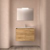 Conjunto Noja 80 de 2 Puertas Mueble y Lavabo